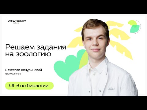 Видео: Решаем задания по зоологии