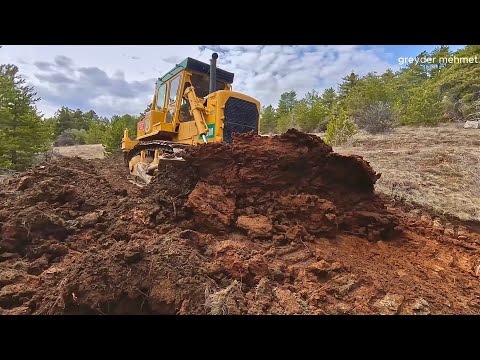 Видео: Как построить лесную дорогу с помощью бульдозера Caterpillar D7g Длинное видео #caterpillar #dozer