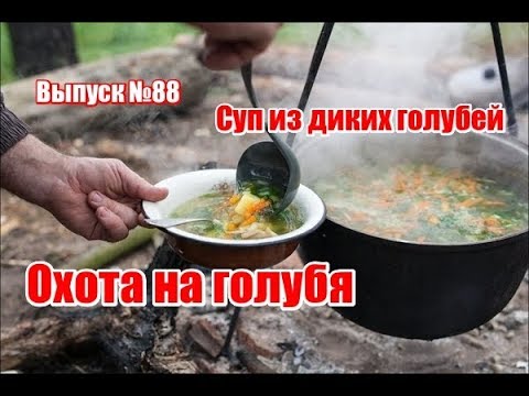 Видео: Охота на голубя | Суп из диких голубей | Выпуск №88 (UKR)