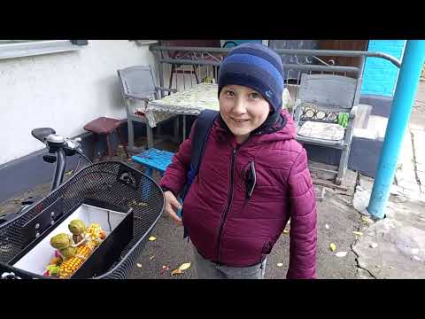 Видео: У синулі поробка, а у нас огляд пляцків!