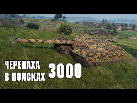 Видео: Черепаха в поисках 3К