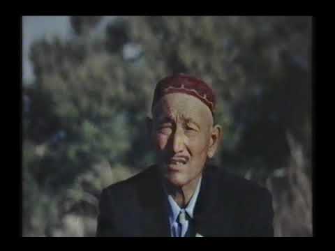 Видео: Село Глиновка (совхоз Путь Ильича) Үшбұлақ ауылы