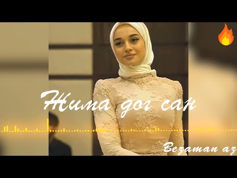 Видео: Мадина Домбаева Жима Дог Сан😍Новинка 2022