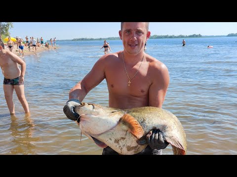 Видео: хороший отдых ,хорошая рыбалка в августе по сому с квоком ,бонус на 30 +