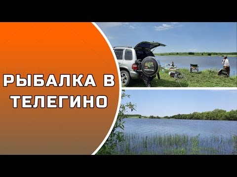 Видео: РЫБАЛКА В ТЕЛЕГИНО