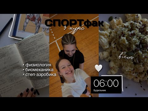 Видео: СПОРТфак, 3 курс | студенческие будни, тренировки 