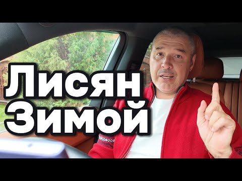 Видео: Лисян зимой