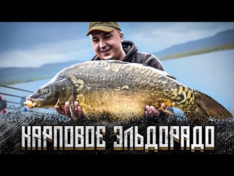 Видео: ПОПАЛИ НА КЛЕВ ОГРОМНЫХ КАРПОВ. Новый Трофей в Карповой Рыбалке 2021.