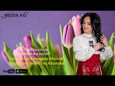 Видео: Тилекгуль Абылова "Таарынычың качан жазылат"