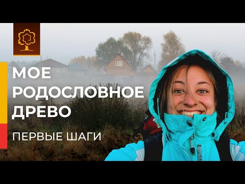 Видео: Как составить родословное древо | Первые шаги | Корнева ищет корни
