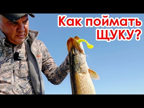 Видео: Ловля ЩУКИ в траве осенью! Проводки и приманки!