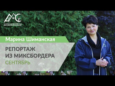Видео: Репортаж из миксбордера 5.  Сентябрь
