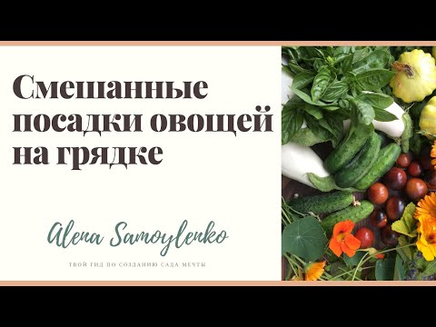 Видео: Смешанные посадки овощей на грядке. Сведение к минимуму ущерба от вредителей.