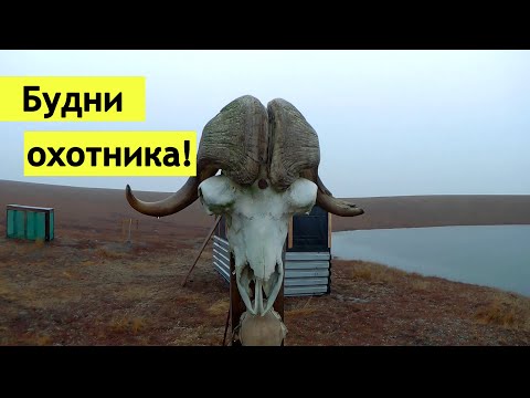 Видео: Будни охотника!!!