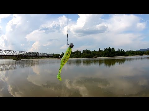 Видео: Рыбалка на судака.   ловля судака на джиг.   трофейный жерех на р Тиса