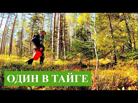 Видео: РЫБАК ЗАШЕЛ В ЛЕС НАШЕЛ ОЗЕРО И ОБАЛДЕЛ! РЫБАЛКА В КОНЦЕ СЕНТЯБРЯ 2025. ПОЙМАЛ РЫБУ И ПРИГОТВИЛ