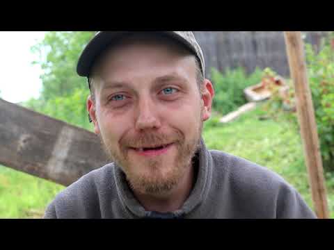 Видео: КУХНЯ ОТШЕЛЬНИКА!!!! ЛИСИЧКИ С С КАРТОШКОЙ.