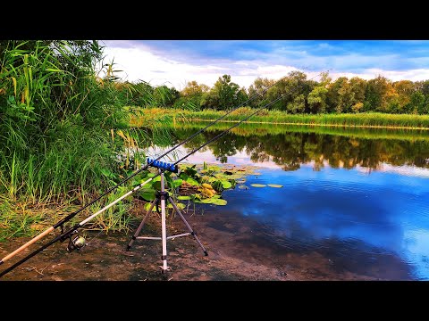 Видео: 🎣ЗАМОРИВСЯ ТЯГАТИ РИБУ 🐟 р. Псел. Рибалка на фідер. Нічна риболовля.