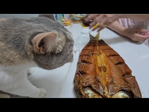 Видео: ПОКУПКИ НА 70 БАКСОВ|ДОРОГО ИЛИ ДЕШЕВО