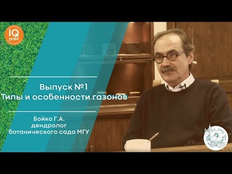 Видео: Какой тип ГАЗОНА ВЫБРАТЬ? | Вся правда о газоне #1