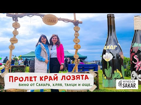 Видео: ФЕСТИВАЛ: ПРОЛЕТ КРАЙ ЛОЗЯТА | опитваме ВИНА от Сакара, уъркшоп по купажиране, хляб с квас
