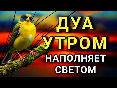Видео: ДУА УТРОМ ДЕЛАЕТ ЖИЗНЬ ЛУЧШЕ! 🔑✨💯🤲