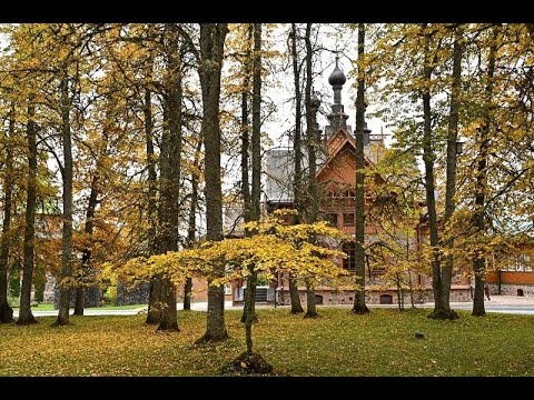 Видео: 20.11.2024.Среда.Всенощное бдение.Собор Архистратига Михаила и прочих Небесных Сил бесплотных.