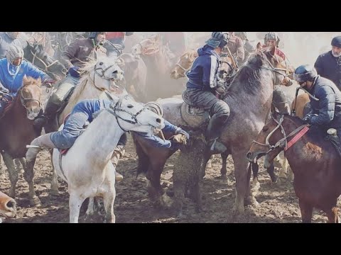 Видео: Бузкаши 6.11.2023 ш. Хисор
