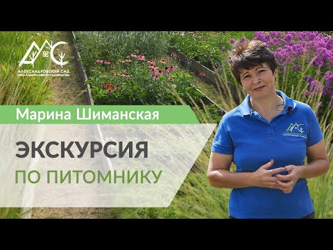 Видео: Экскурсия по питомнику декоративных растений