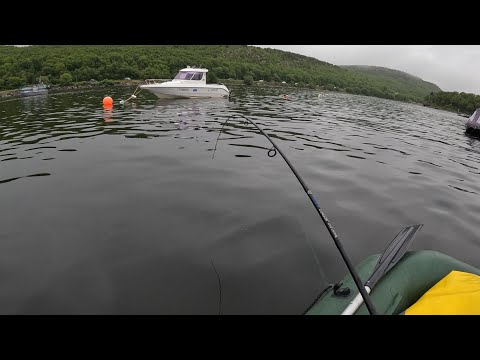 Видео: С ЛОДКИ В ЗАЛИВЕ / FROM THE BOAT IN THE BAY