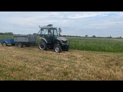 Видео: Нарешті обжинки✅ врожай радує👍 Джон та Скаут працюють ❗️