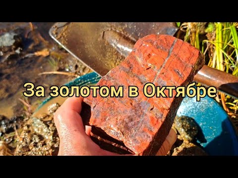 Видео: За золотом в Октябре