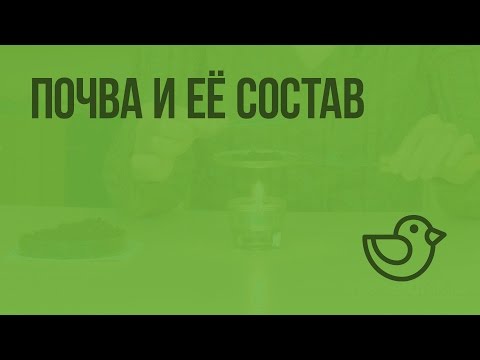 Видео: Почва и её состав. Видеоурок по окружающему миру 3  класс