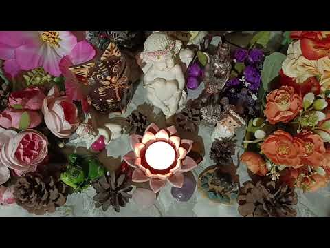 Видео: Какво се случва по света🌟💥🌞