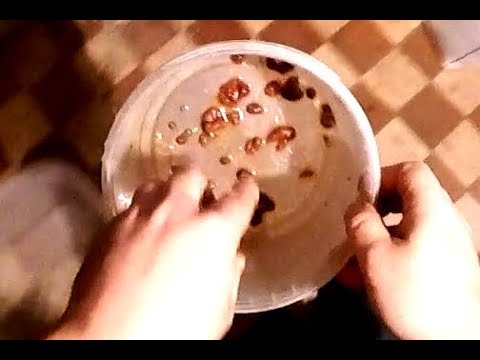 Видео: Ферма (культиватор ) для разведения аулофоруса Ч2.