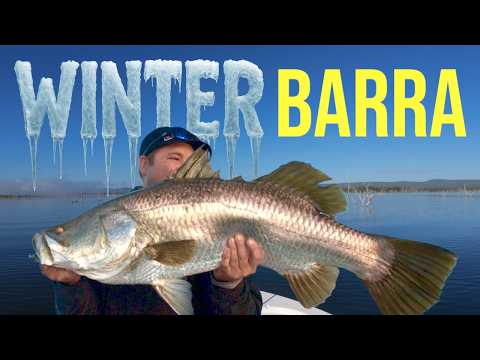 Видео: Как ловить зимнюю баррамунди с помощью Active Target, Livescope или Mega Live