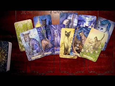 Видео: КАК ИЗМЕНИТСЯ ТВОЯ ЖИЗНЬ ОЧЕНЬ СКОРО? ЧТО ПО СУДЬБЕ ДО КОНЦА ГОДА? Онлайн гадание