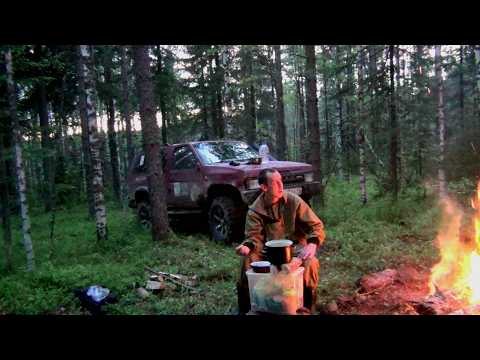 Видео: Металлокоп на ужд! Путешествие по красивым местам! Рыбалка, клещи и не только!!