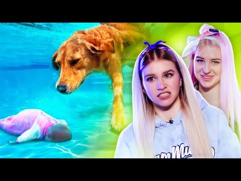 Видео: ЖИВОТНЫЕ СПАСАЮТ ЛЮДЕЙ 😲 РЕАКЦИЯ с @Diana_aster