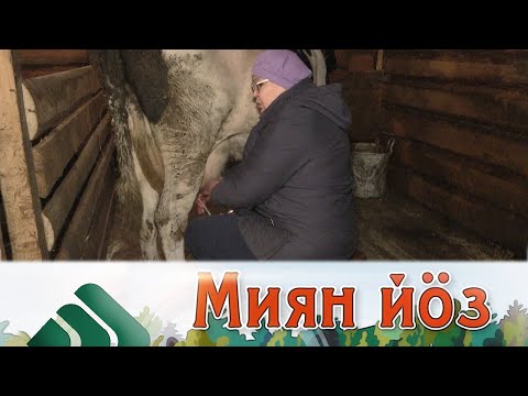 Видео: Миян йöз. Канева. Сизябск. 18.12.20