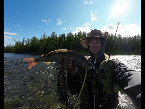 Видео: Хариусы Хараматолоу