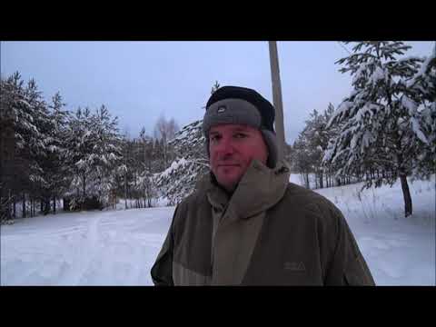 Видео: Охота на лося.Сезон 2022г.часть 2