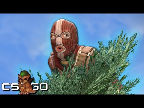 Видео: Режим игры Extreme Hide and Seek CSGO