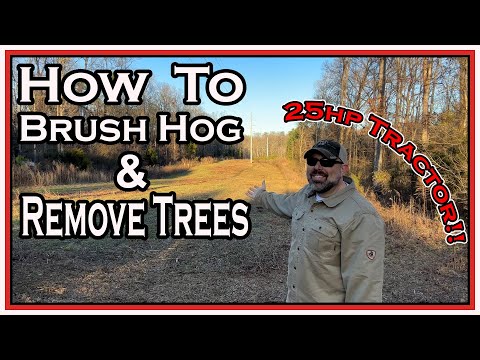 Видео: Как расчищать кустарник и деревья с помощью компактного трактора: от начала до конца