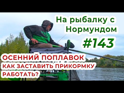 Видео: ОСЕНЬ и ПОПЛАВОК - как заставить ПРИКОРМКУ РАБОТАТЬ? / На рыбалку с Нормундом #143