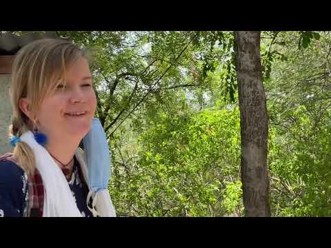 Видео: Путтапарти l Дерево Желаний l Индия