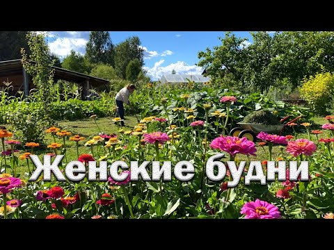 Видео: Женские будни//Как изменился новый участок//большой урожай//заготовки на зиму