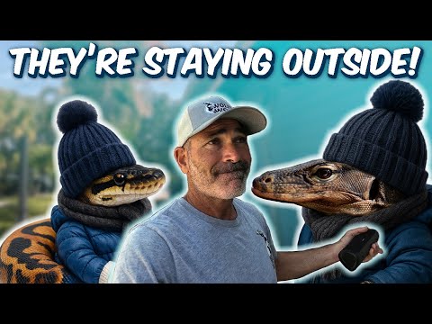 Видео: Встречаем 37F-погоду с OURDOOR REPTILES!