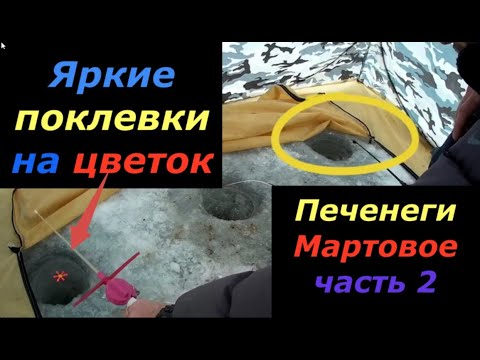 Видео: Зимняя рыбалка на Печенежском Водохранилище Удачная рыбалка зимой