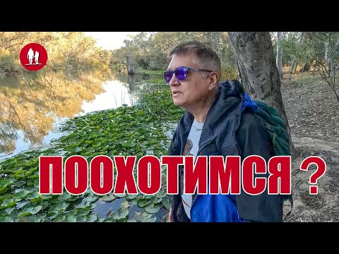 Видео: Ночёвка в палатке в Австралийском лесу у реки и фотоохота